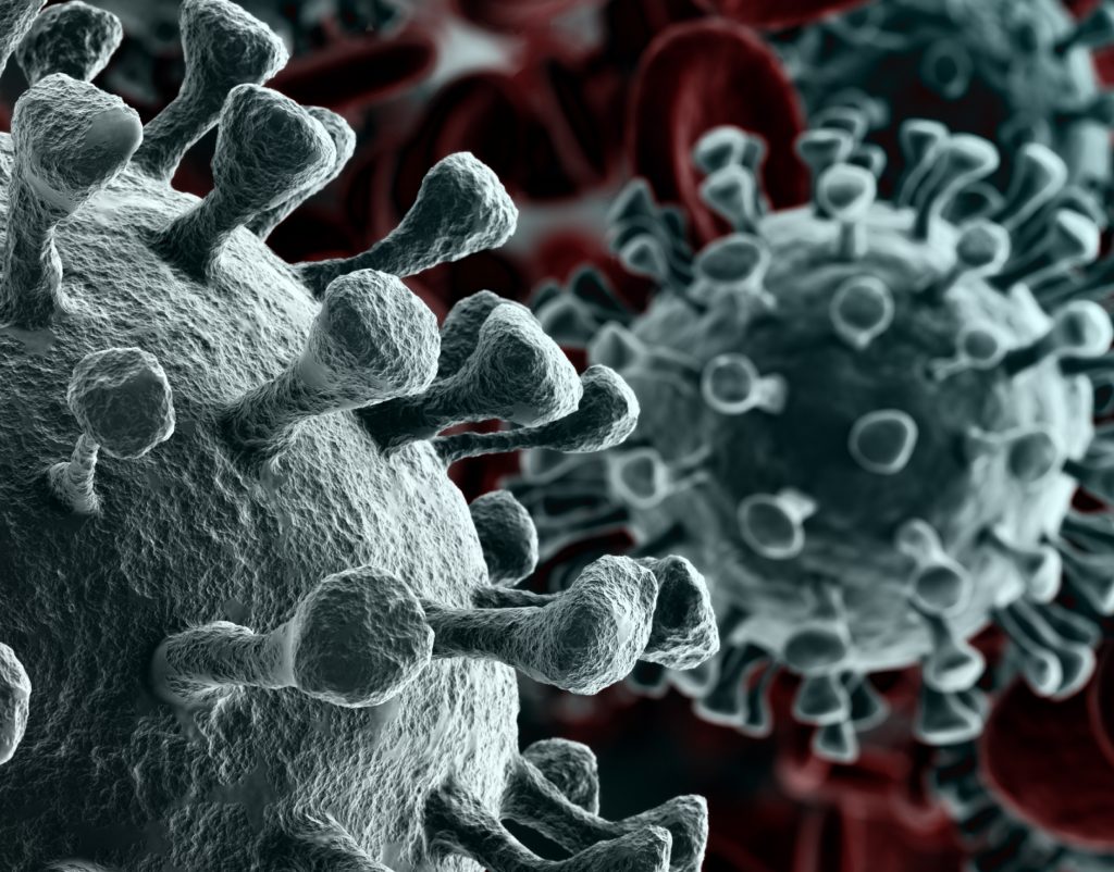 Corona Virus Update